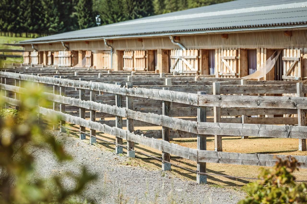 Ranchhouse Smoker- Westernstable - Horse Elterlein Екстериор снимка