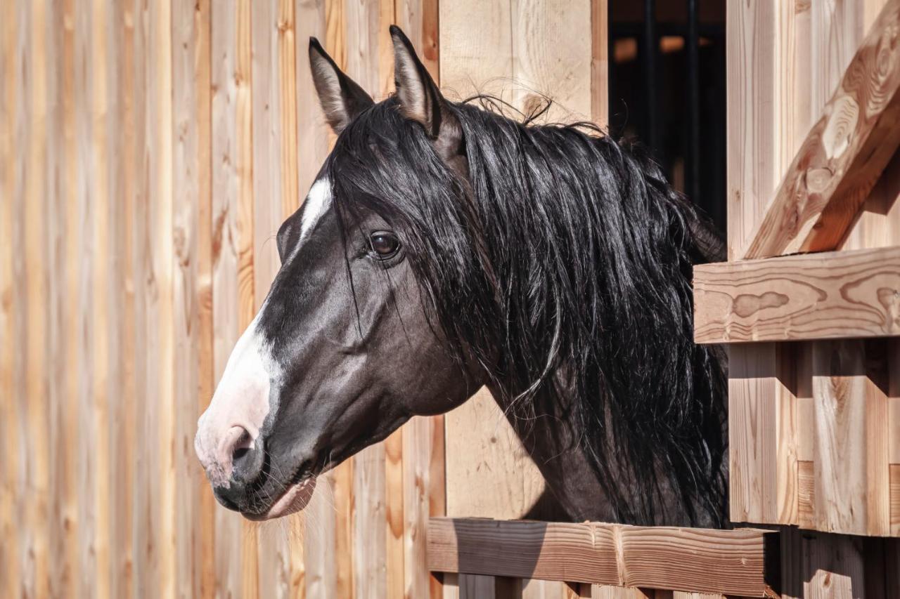 Ranchhouse Smoker- Westernstable - Horse Elterlein Екстериор снимка
